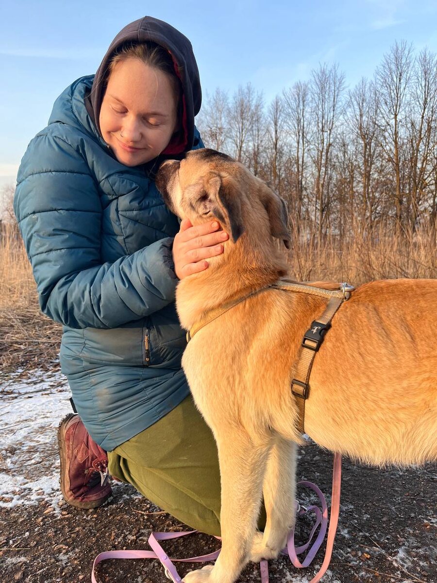 Есть люди, которые чувствуют животных, а животные чувствуют их. Вот это про Алёну