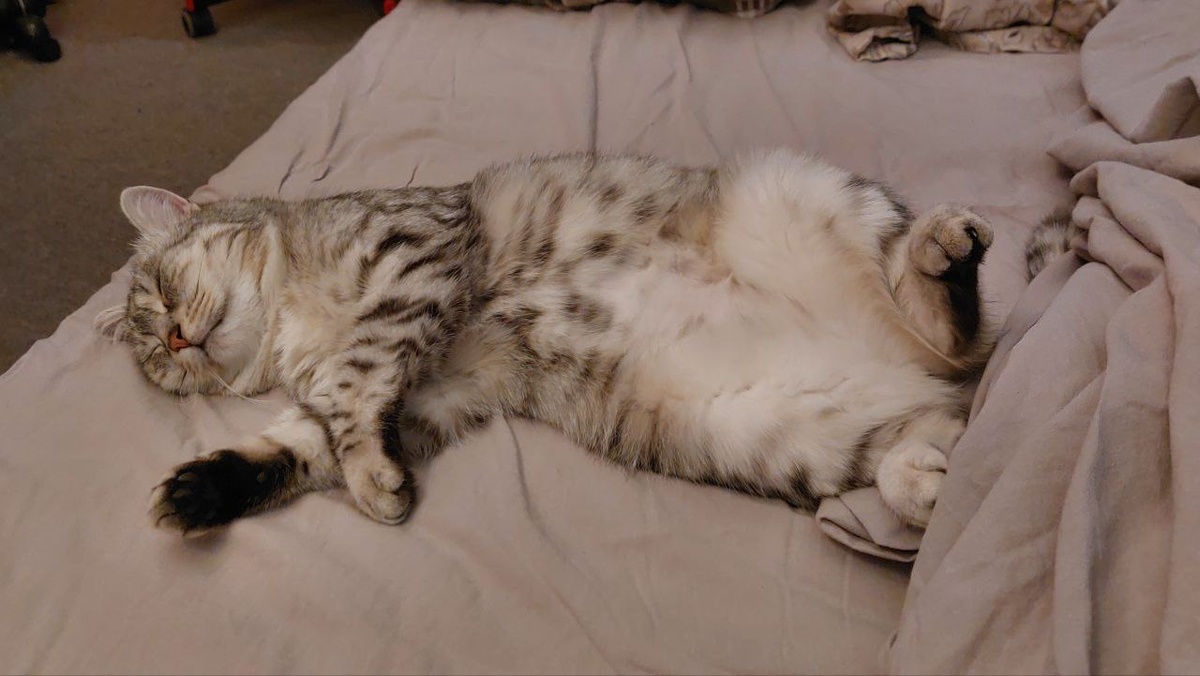 Королева Марго отдыхает