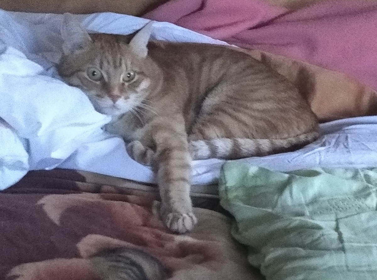 личное фото