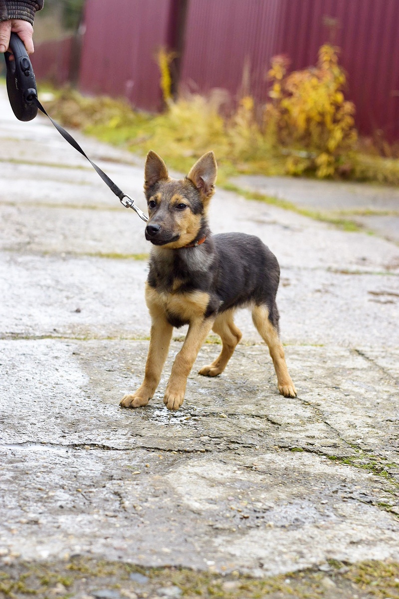 Маленькая Ника