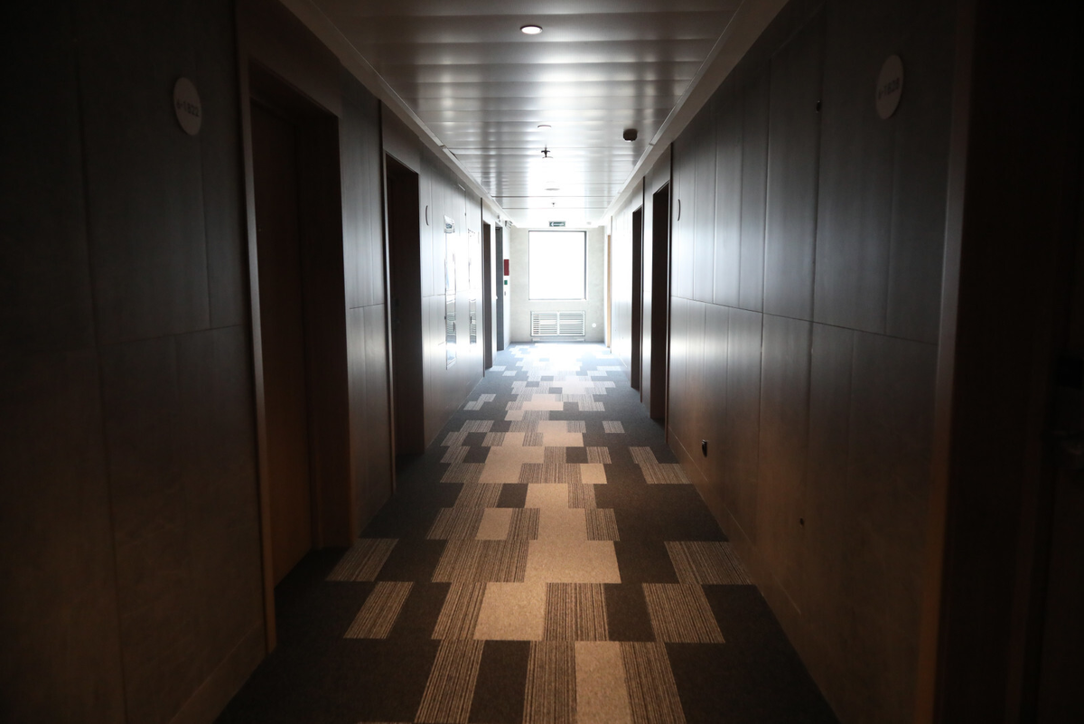 Фото: Роман Пименов / «Петербургский дневник»