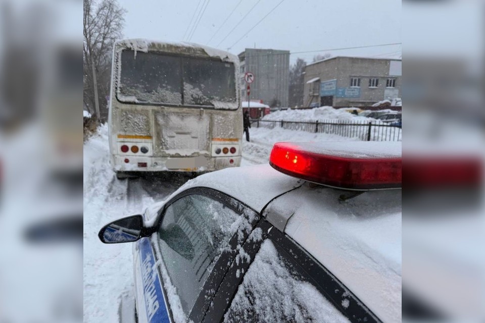    Проверки проводились с 27 по 28 января. Фото: Госавтоинспекция