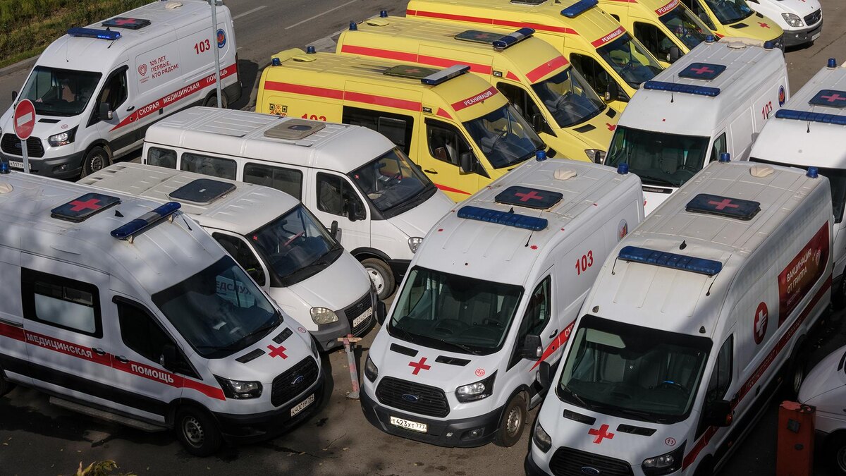 Фото: ИЗВЕСТИЯ/Сергей Виноградов