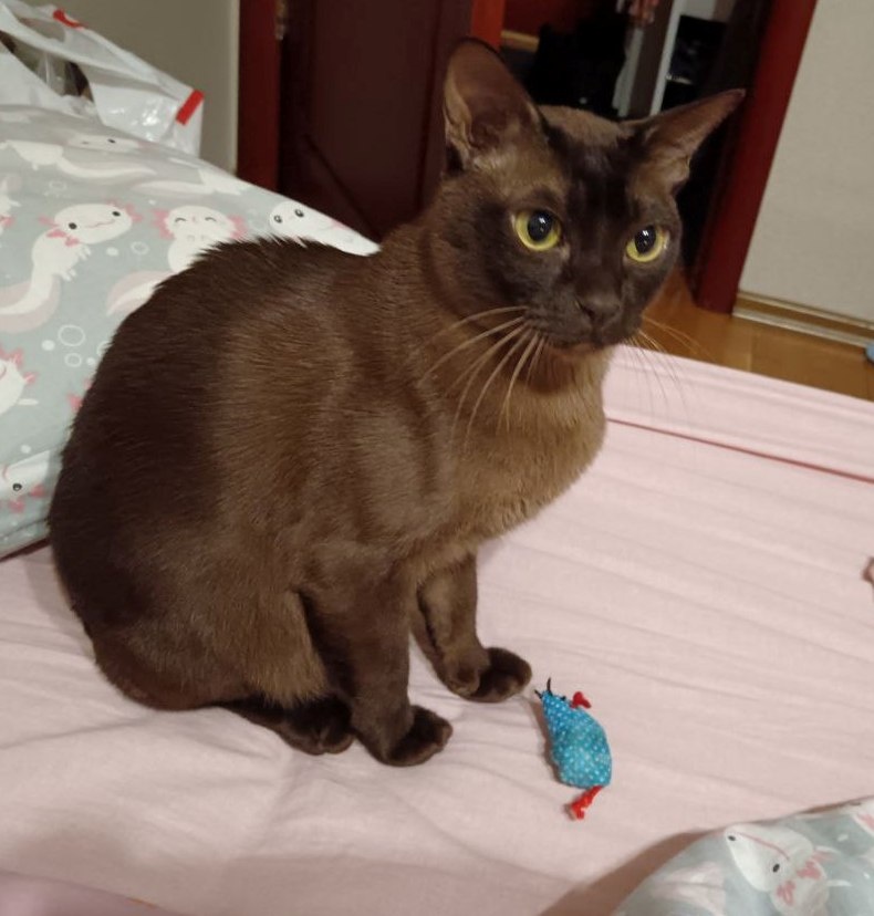 Я ж у матери добыдчик.