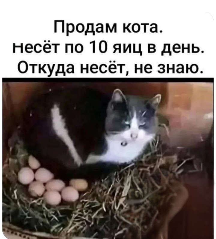 Цена договорная! 