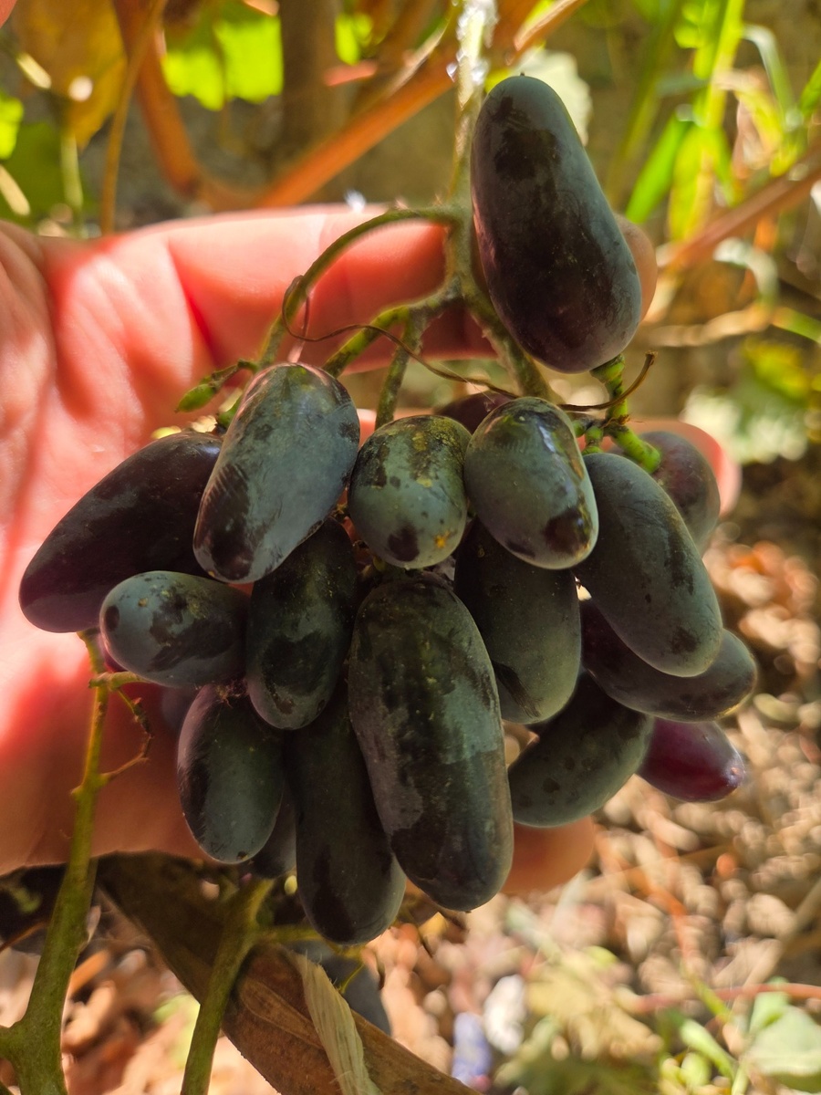 333 (Цитадель). Фото с участка Максима Галагуцкого