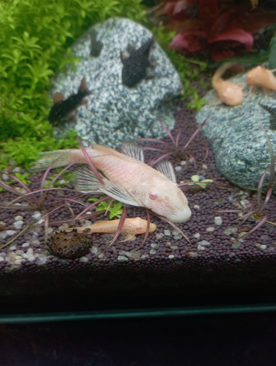 Фото от участника сообщества "Эстетика воды"