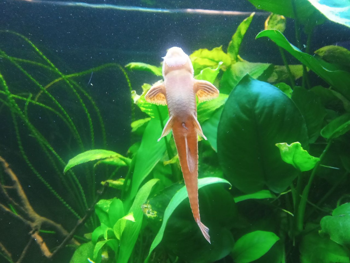 Фото от участника сообщества "Эстетика воды"