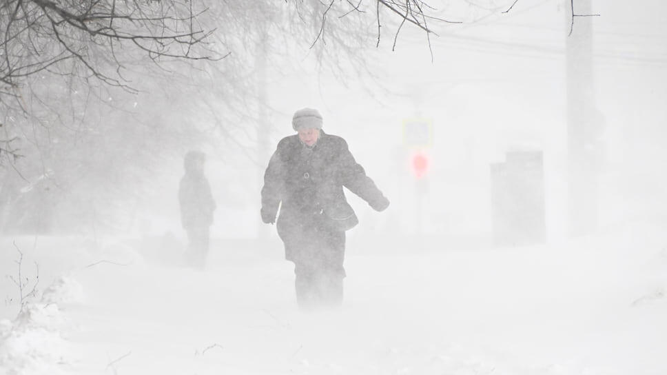 Фото: Анатолий Жданов / Коммерсантъ