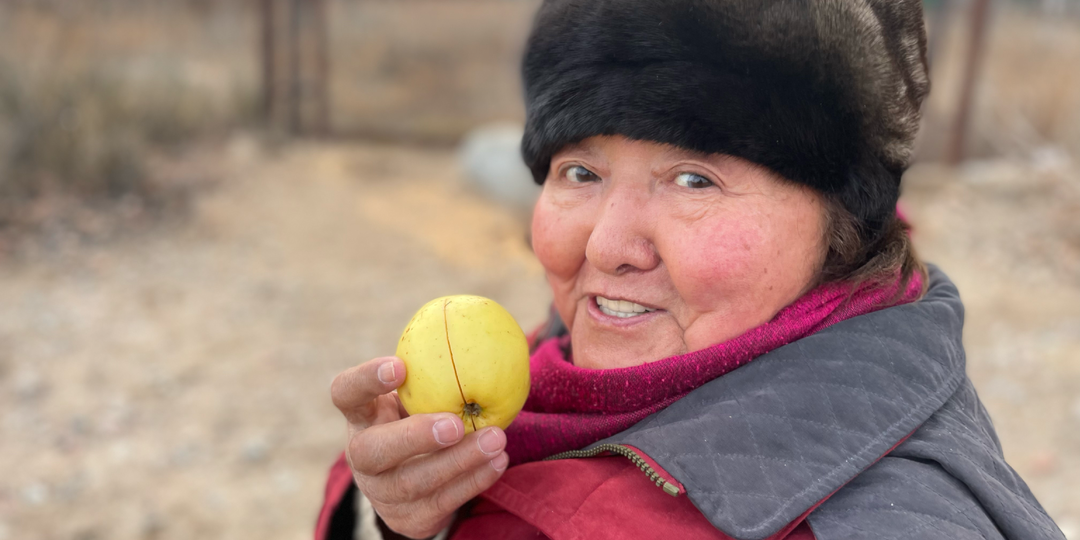 Почему привычная еда перестала радовать — и как вернуть вкус жизни