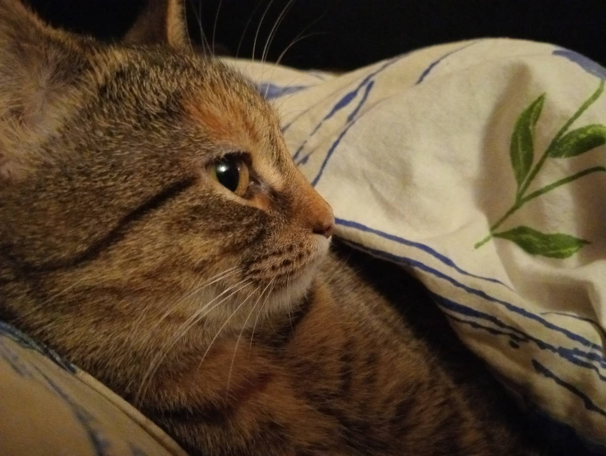 Шпротка весь день с Таней! Любимица!