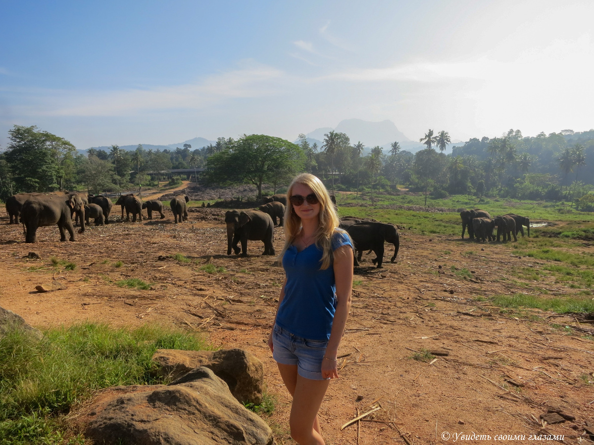 Слоновий питомник Пиннавела