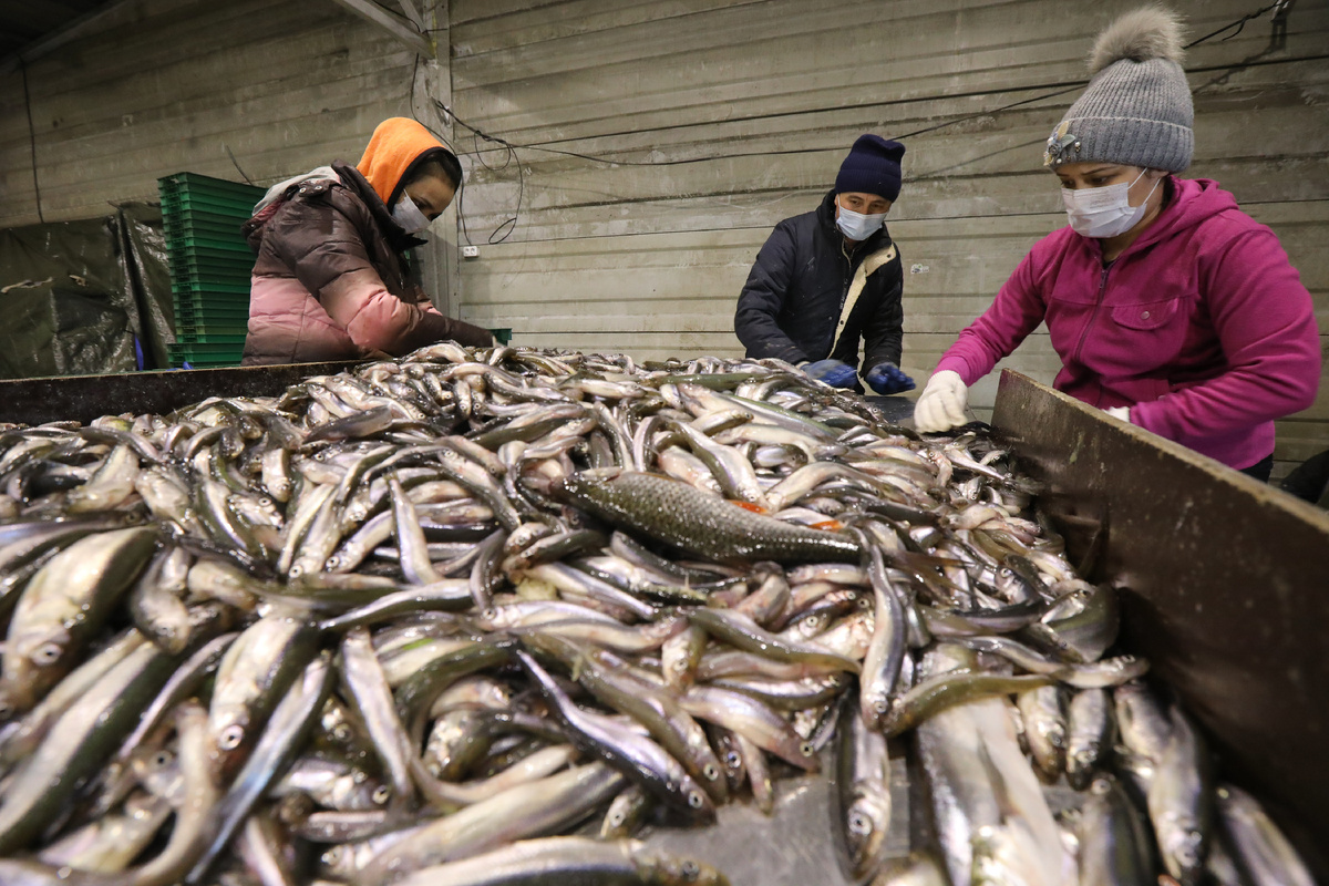 Автор фото: Лидия Верещагина / "ДП"