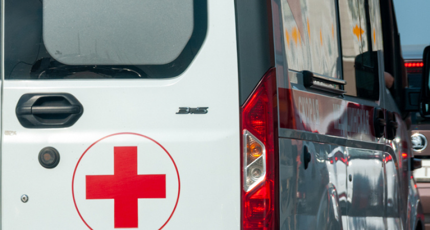    Фото: Svetlana Vozmilova/Global Look Press