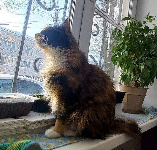 фото автора 