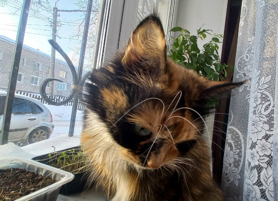 фото автора 