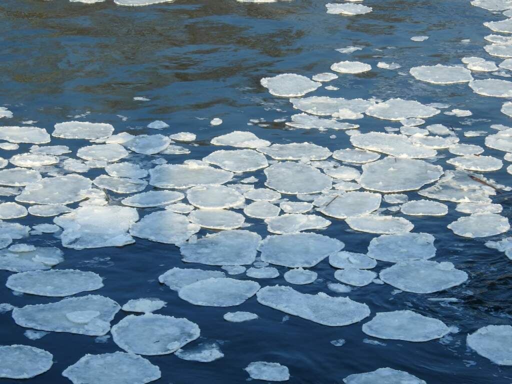    фото: Олеся Дейнеко