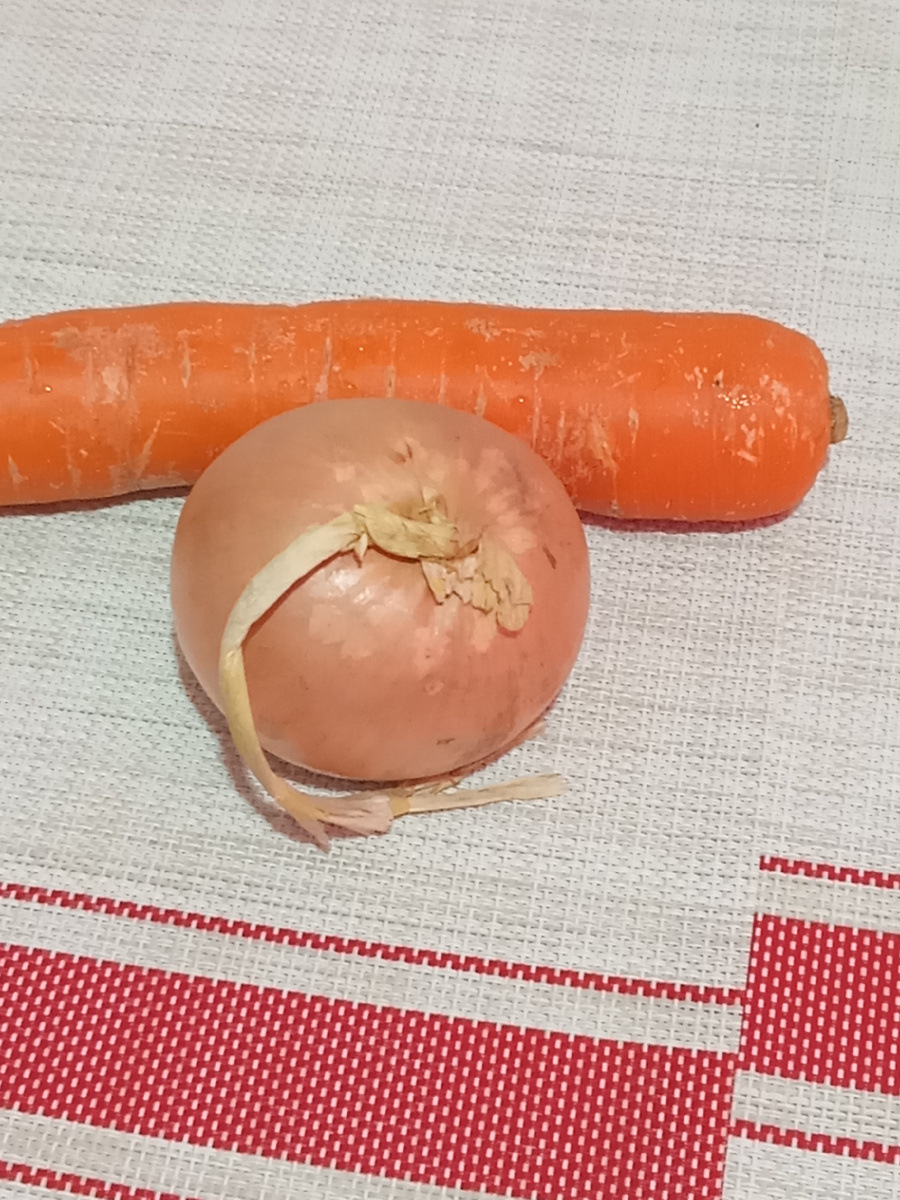 Морковка и луковица