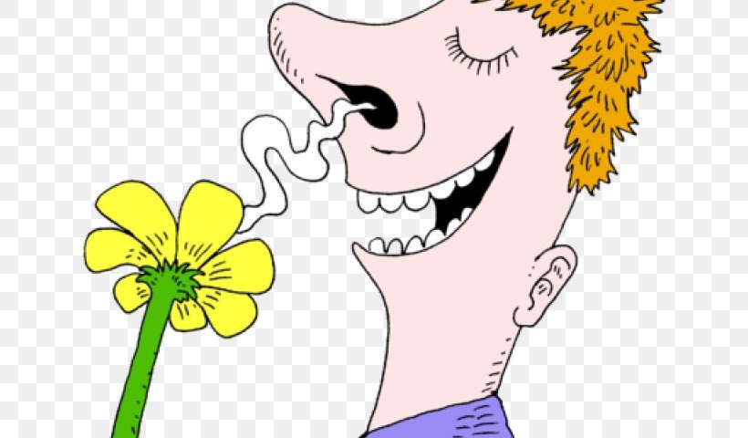 фото из свободных источников