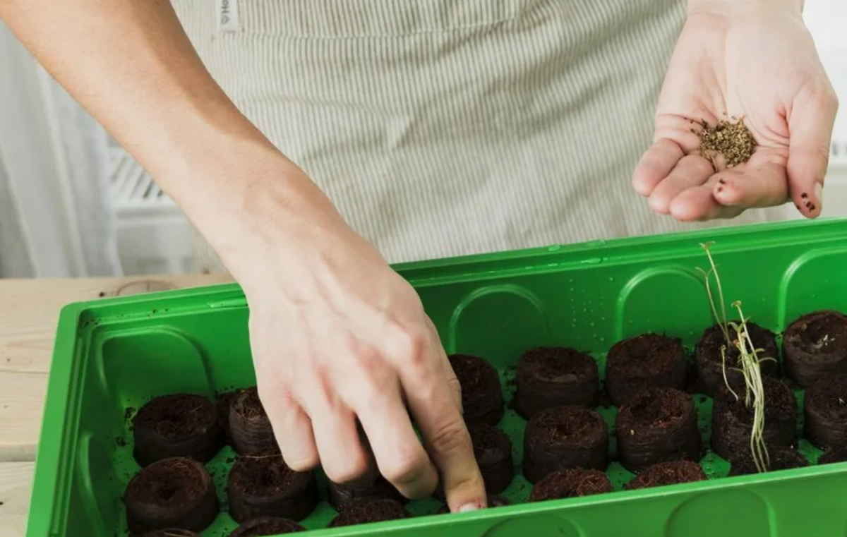 Источник фото: dom.mail.ru