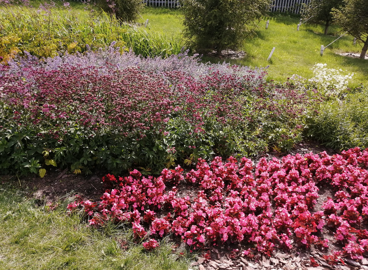 Набережная. Лето 2025г