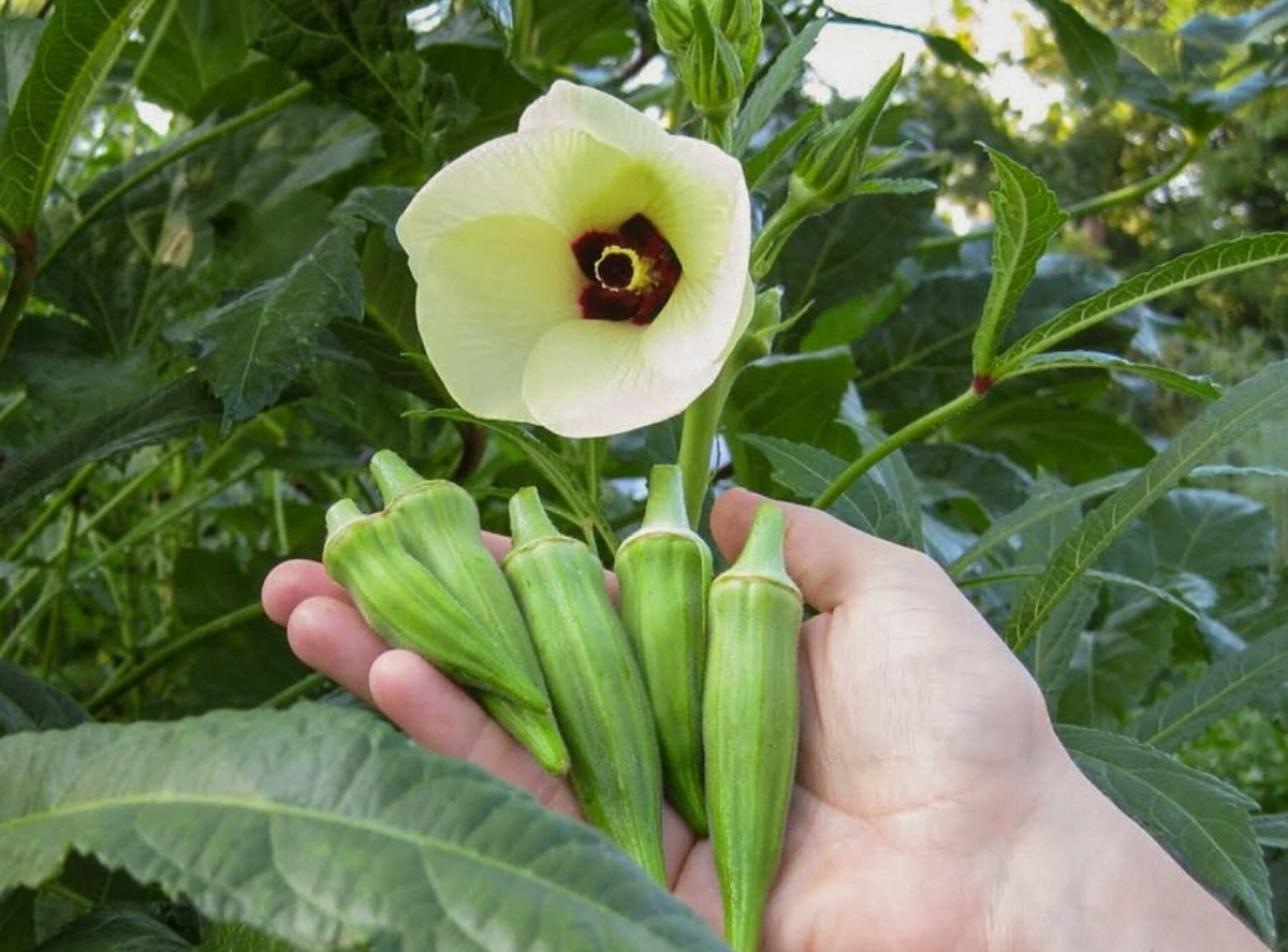 Источник фото: market.yandex.ru