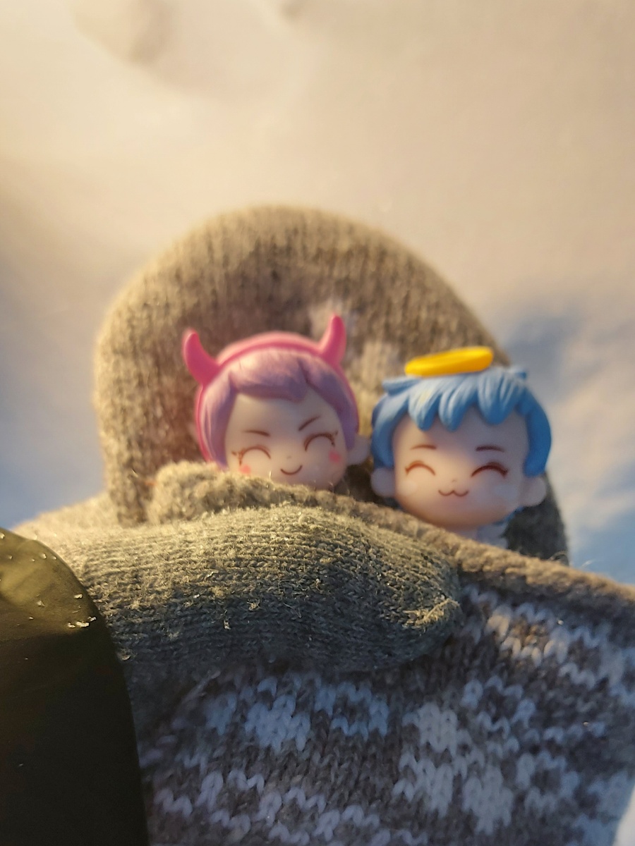 Чё и Бо идут в гости))) Фото автора канала.