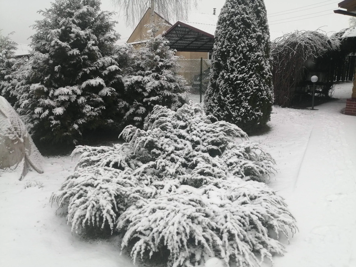 Фото автора.