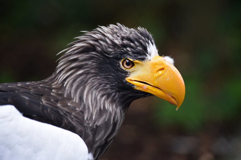    Frank May/picture alliance/Global Look Press