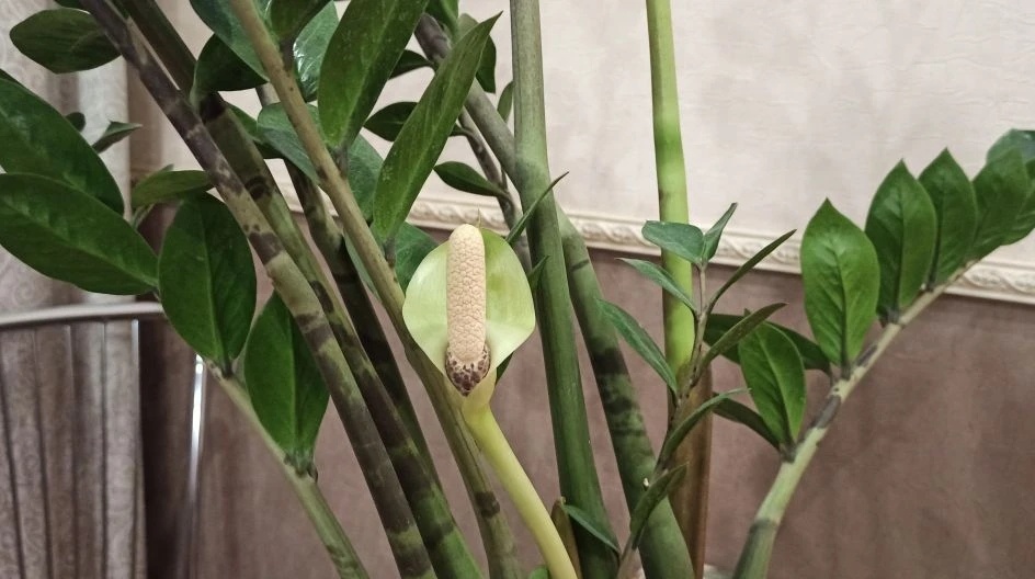 3 февраля 2026 г.