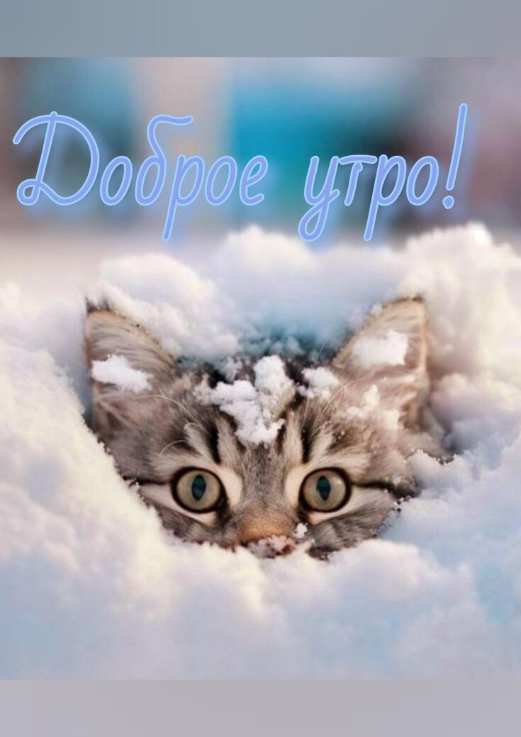 Фото интернета