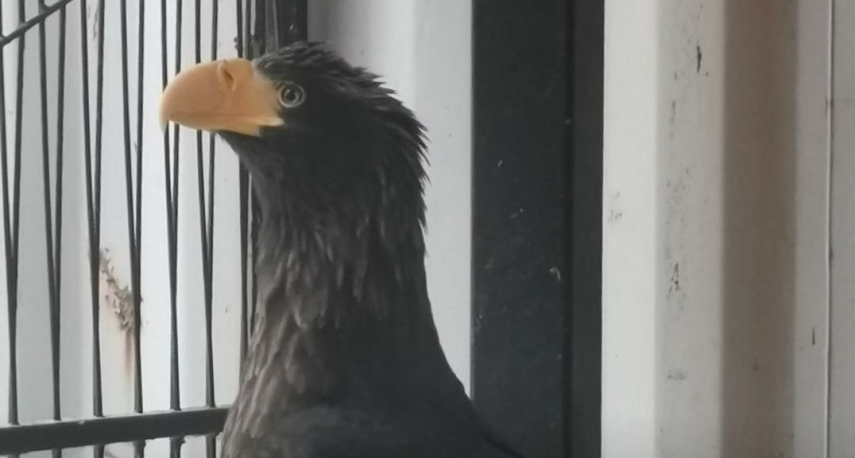    фото Росприроднадзора