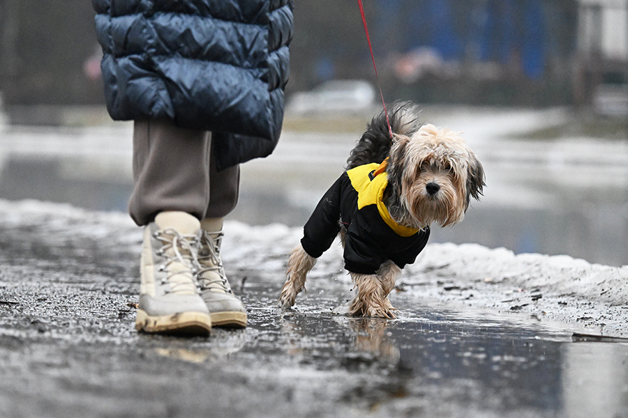    © Пелагия Тихонова/РИА Новости