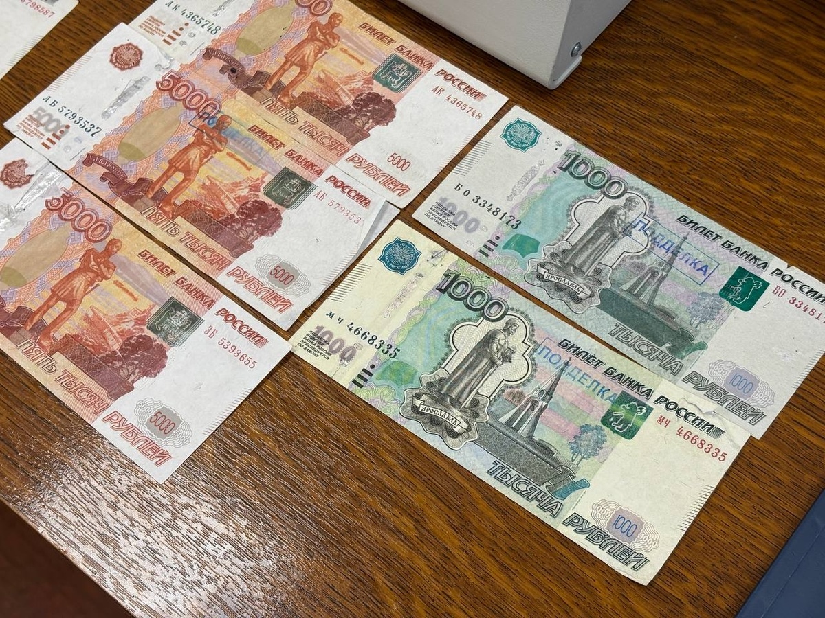 Фото: Neva.Today