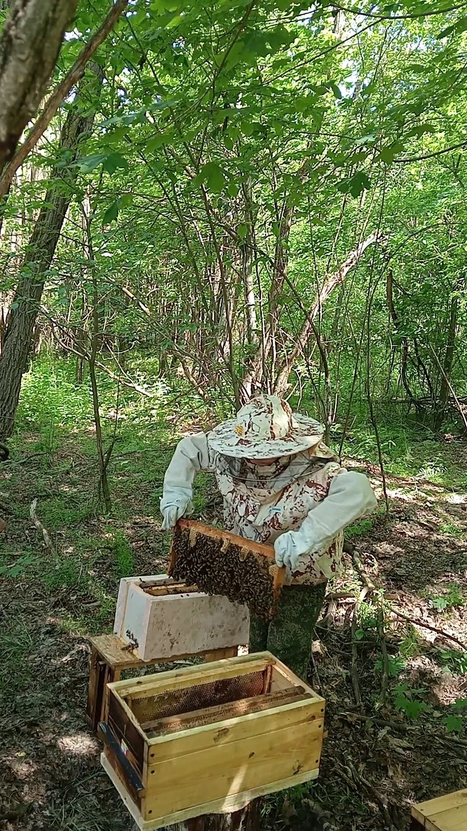 Пересаживаем семью в другой корпус.