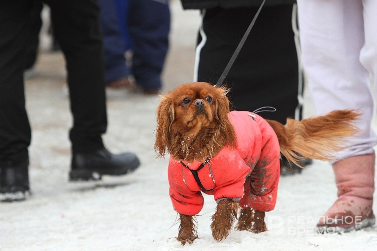   Михаил Захаров / realnoevremya.ru