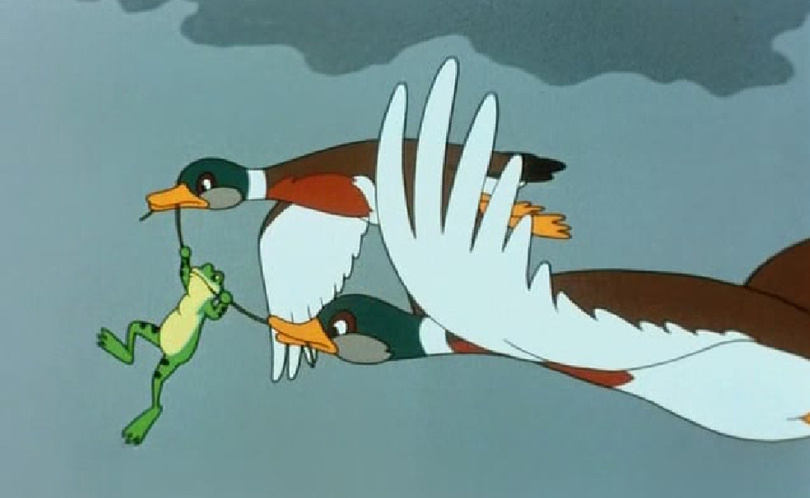 Фото из открытых источников интернета 