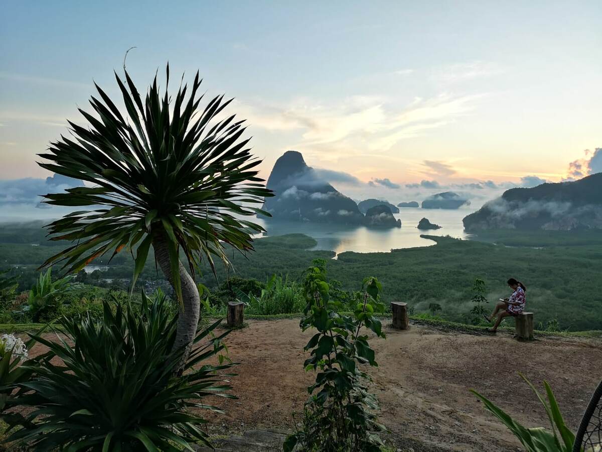 Я успел познакомить вас с удивительным парком. 