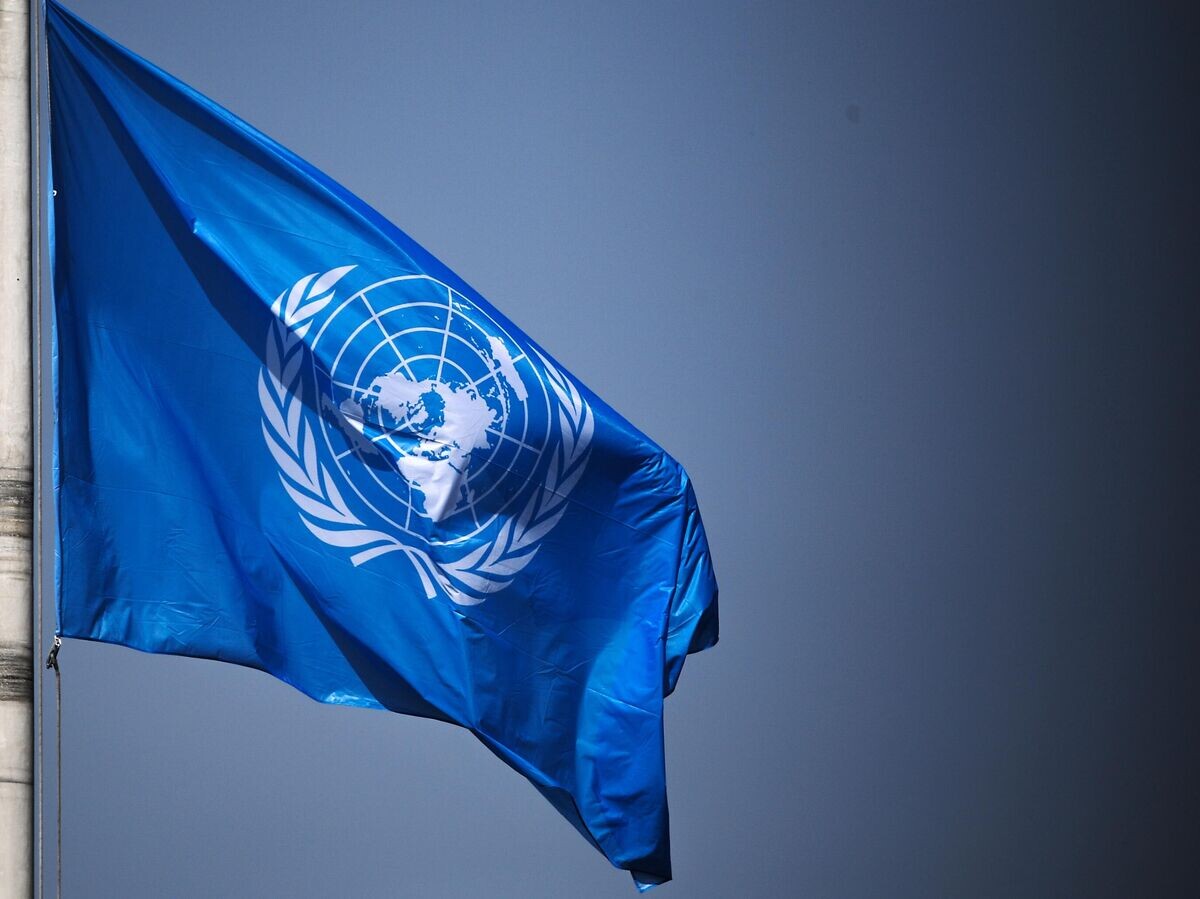   Флаг ООН на территории Дворца мира в Гааге | © РИА Новости / Владимир Астапкович