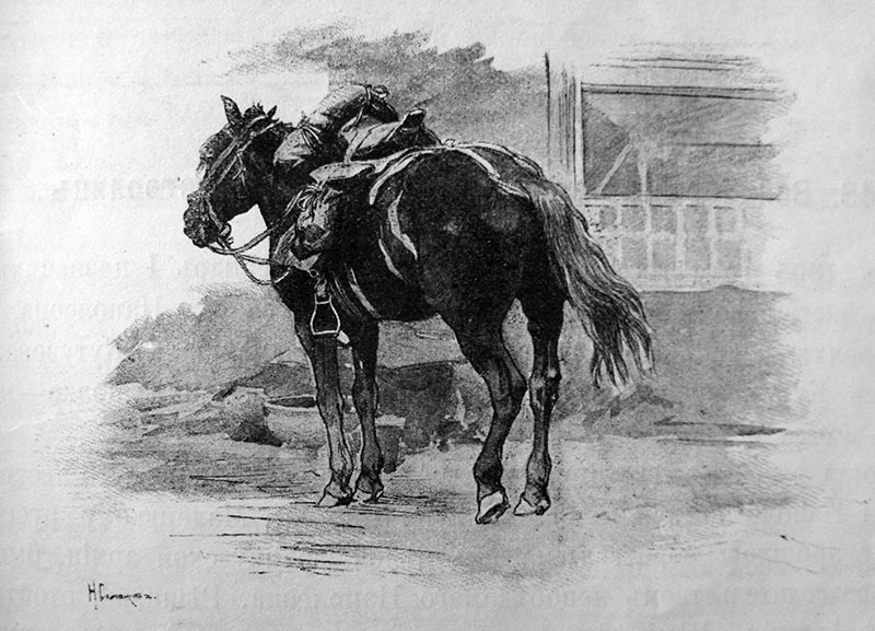 Снаряженный казачий конь