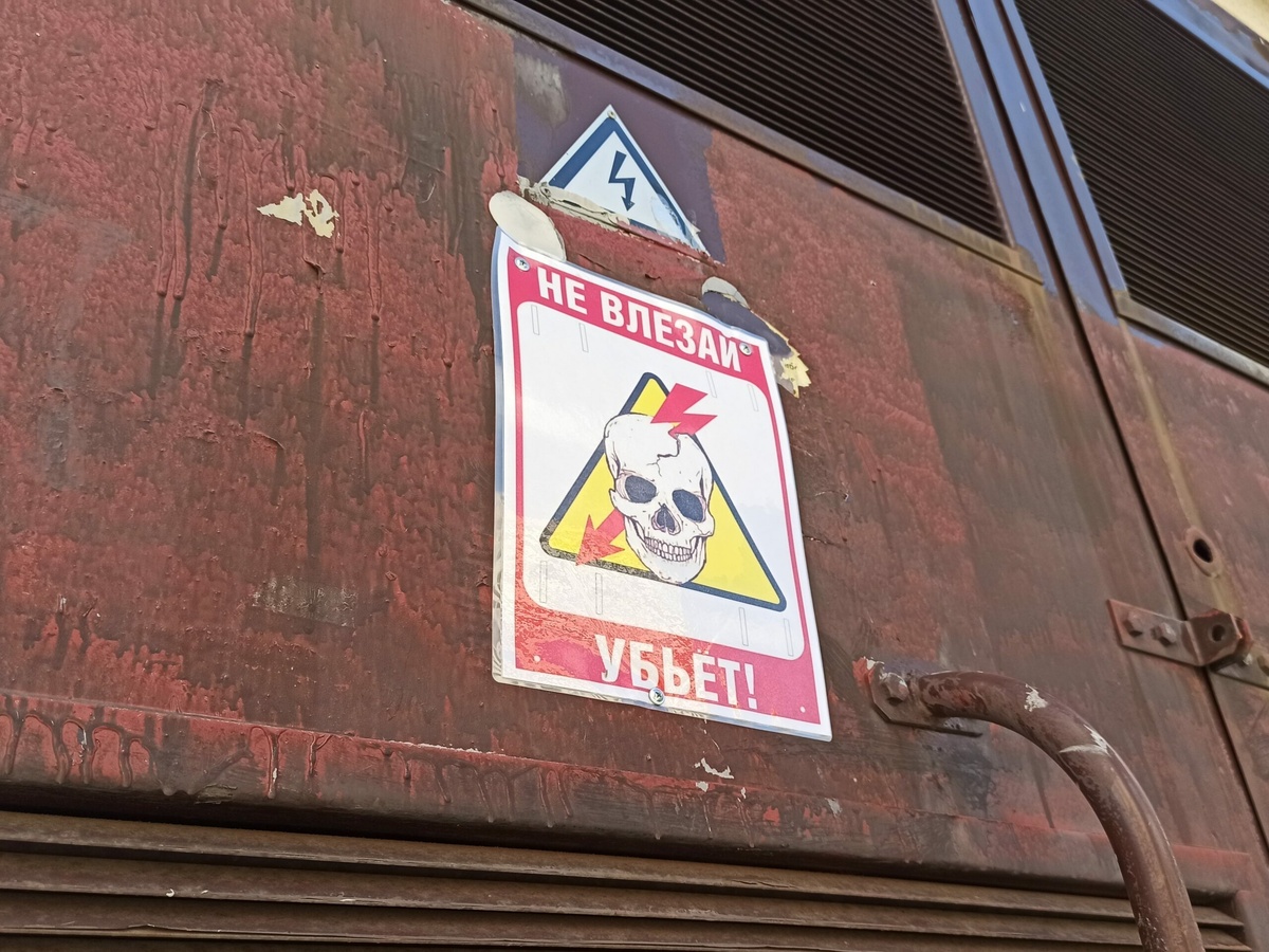 Фото: Neva.Today/Олеся Орехова