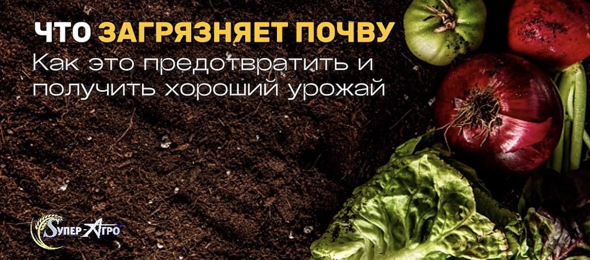 Загрязненная почва и как это предотвратить 