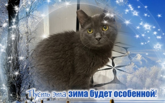 😽Нюшеньке с ВИК тоже нужен дом🏡