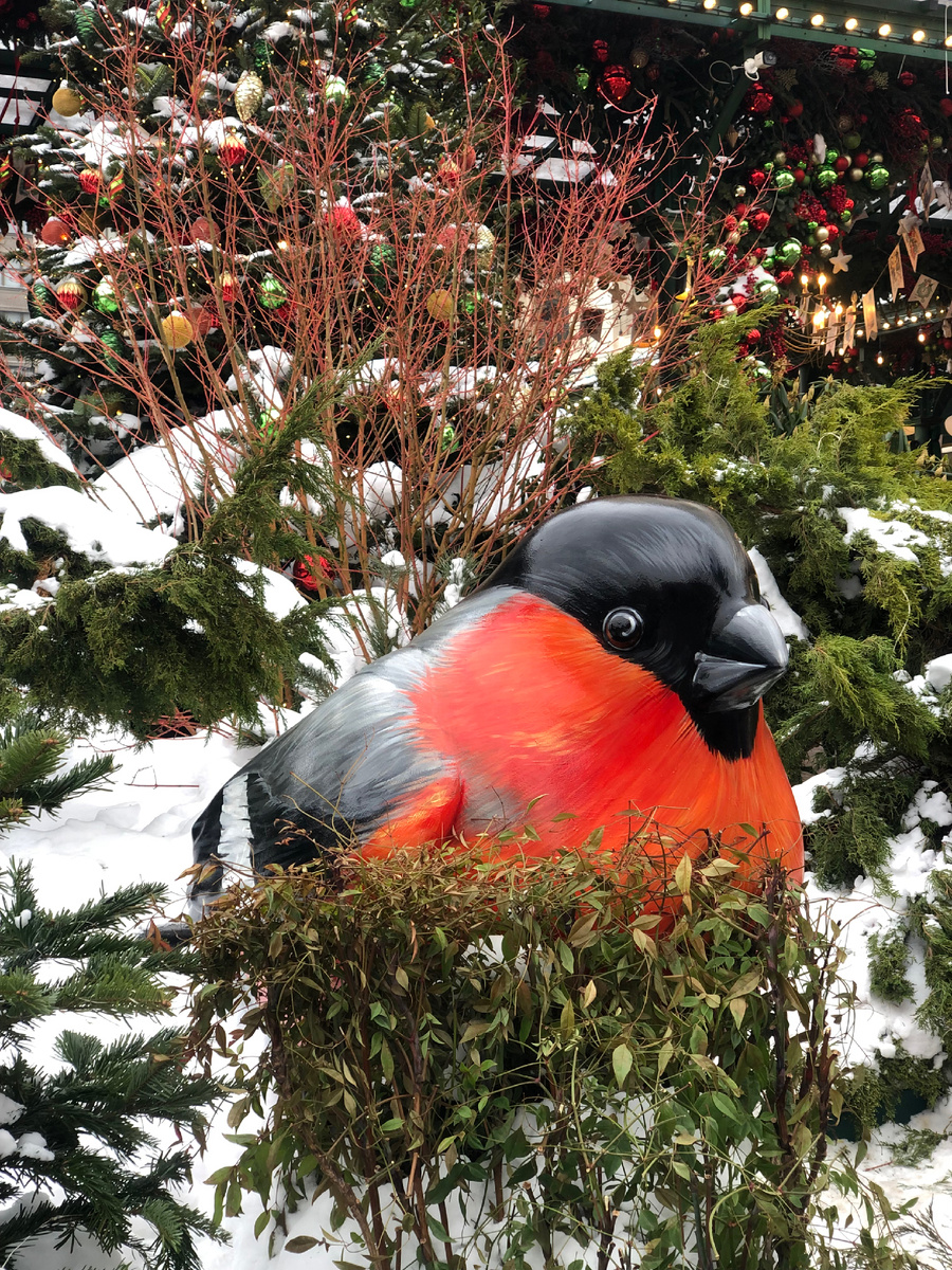 На Манежной