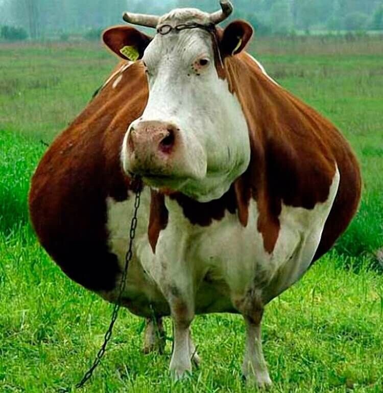 Фото из открытых источников. Для обложки статьи. Отражает текущее внутреннее состояние автора