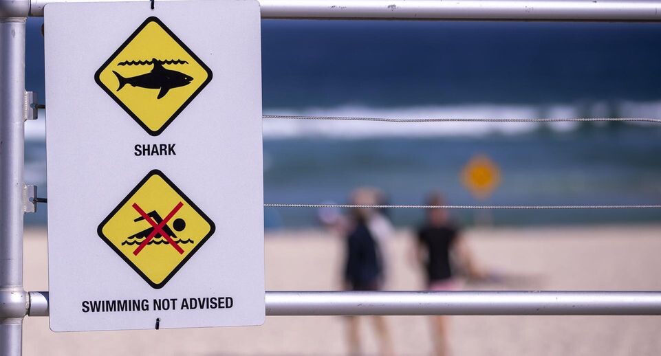    Bai Xuefei/XinHua/Global Look Press / www.globallookpress.com