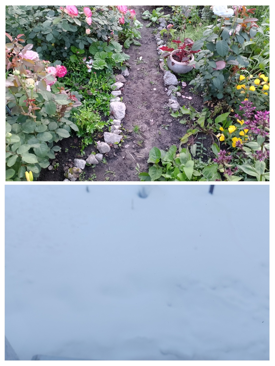 Фото автора. Татьяна, спасибо за идею