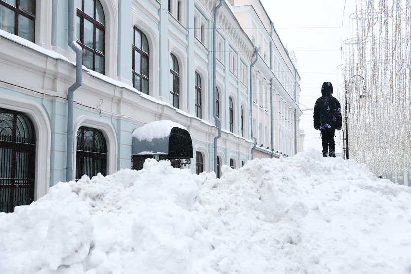     Фото: Сергей Савостьянов / ТАСС