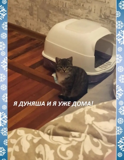 Ура! Дуняшенька УЖЕ ДОМА!🏡