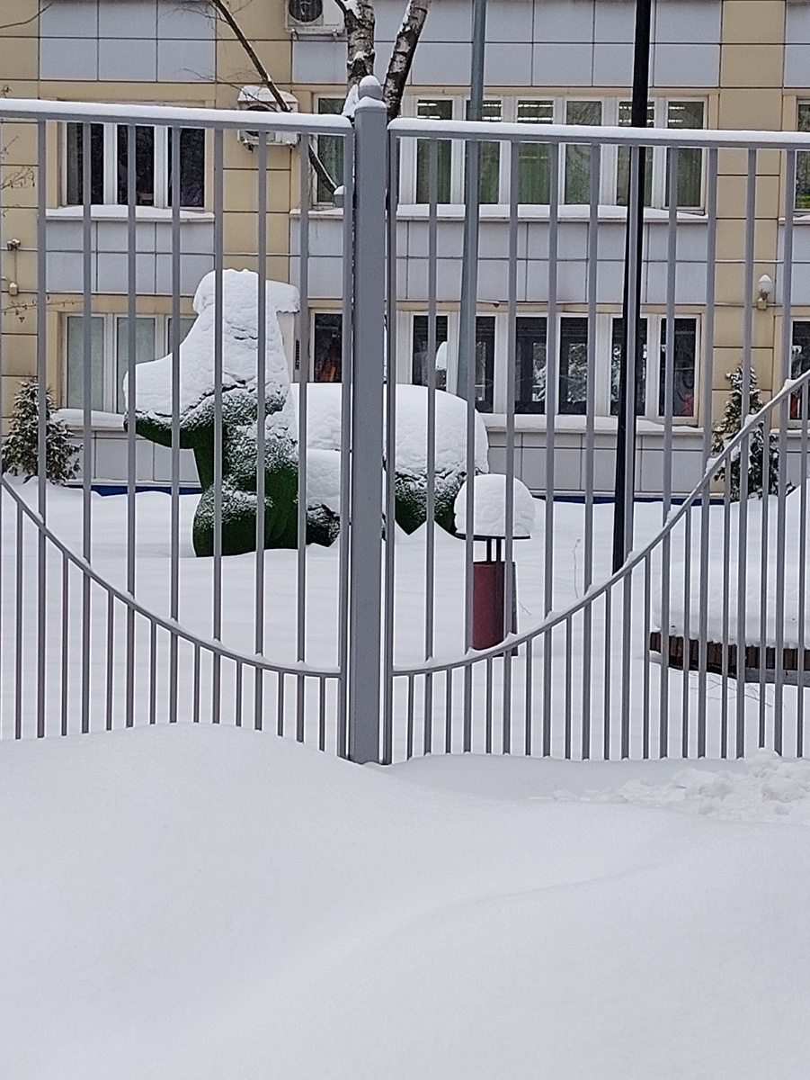 Фото автора статьи